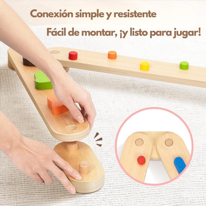 Viga de Equilibrio