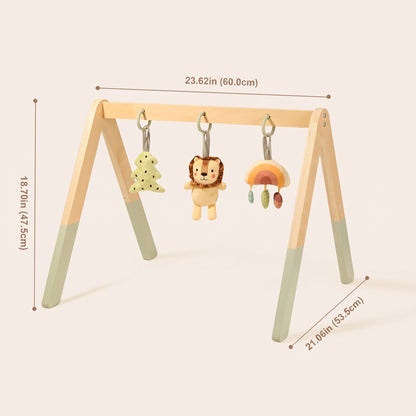 Gimnasio de Actividades para Bebé
